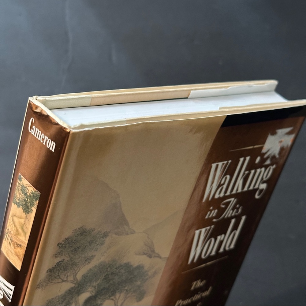 Walking in This World by Julia Cameron | Self-Help, Creativity | Hardcover Book - Picture 7 of 13